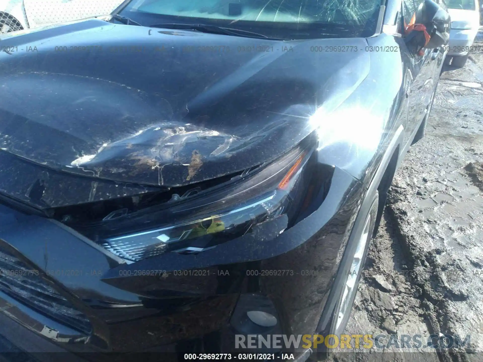 6 Photograph of a damaged car 2T3RWRFV1KW009219 TOYOTA RAV4 2019