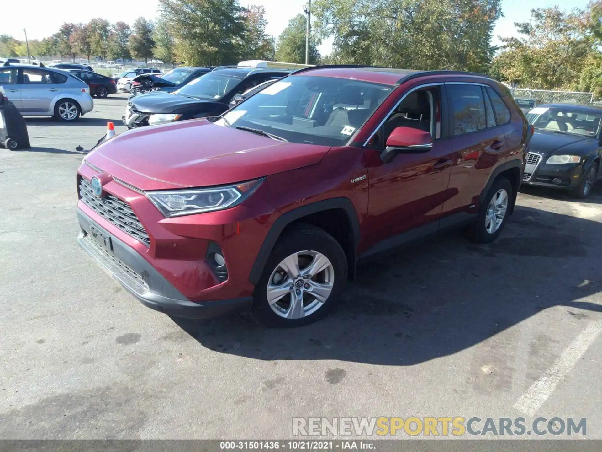 2 Photograph of a damaged car 2T3RWRFV1KW015974 TOYOTA RAV4 2019