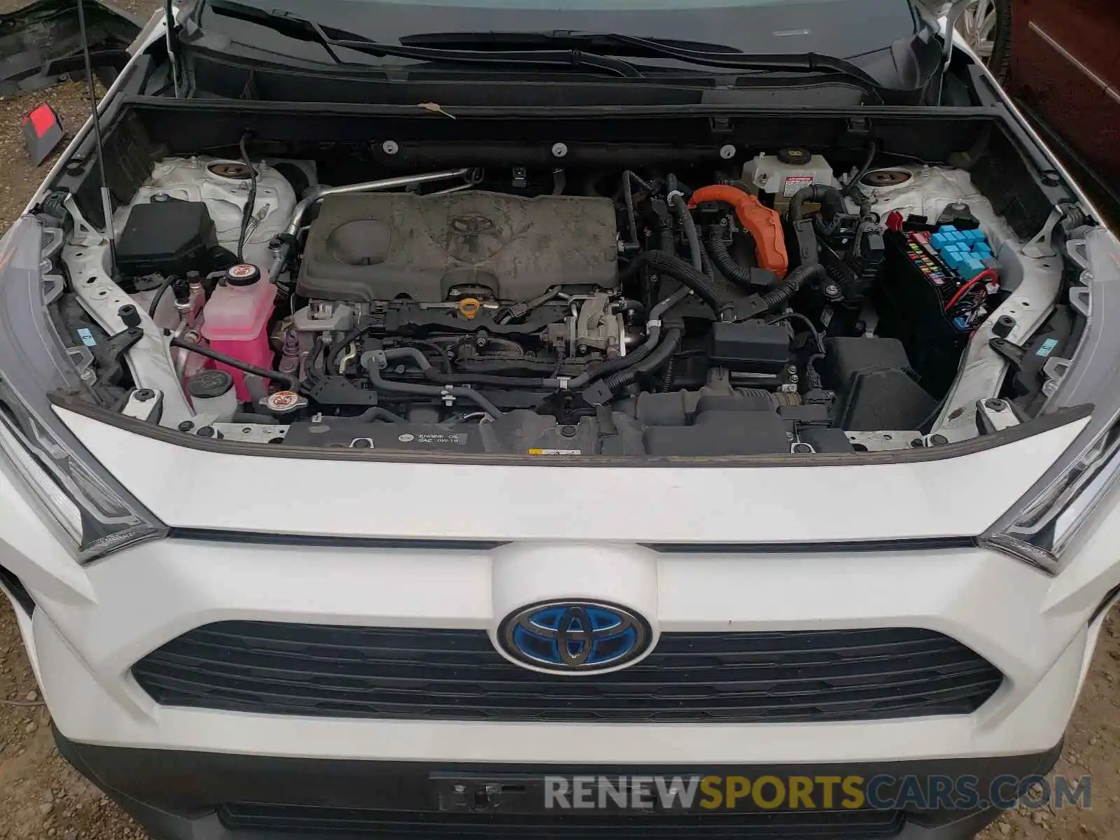 7 Photograph of a damaged car 2T3RWRFV2KW025901 TOYOTA RAV4 2019