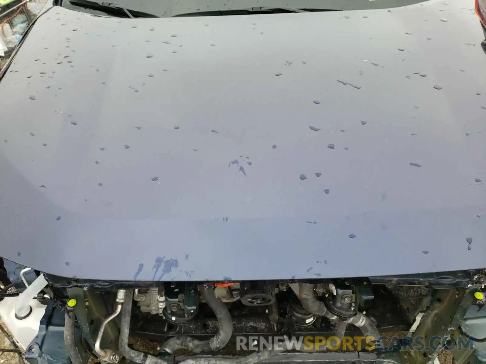 7 Photograph of a damaged car 2T3RWRFV2KW040897 TOYOTA RAV4 2019