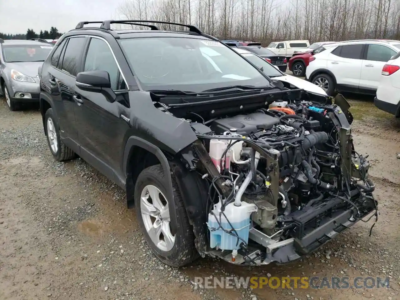 1 Photograph of a damaged car 2T3RWRFV5KW003570 TOYOTA RAV4 2019