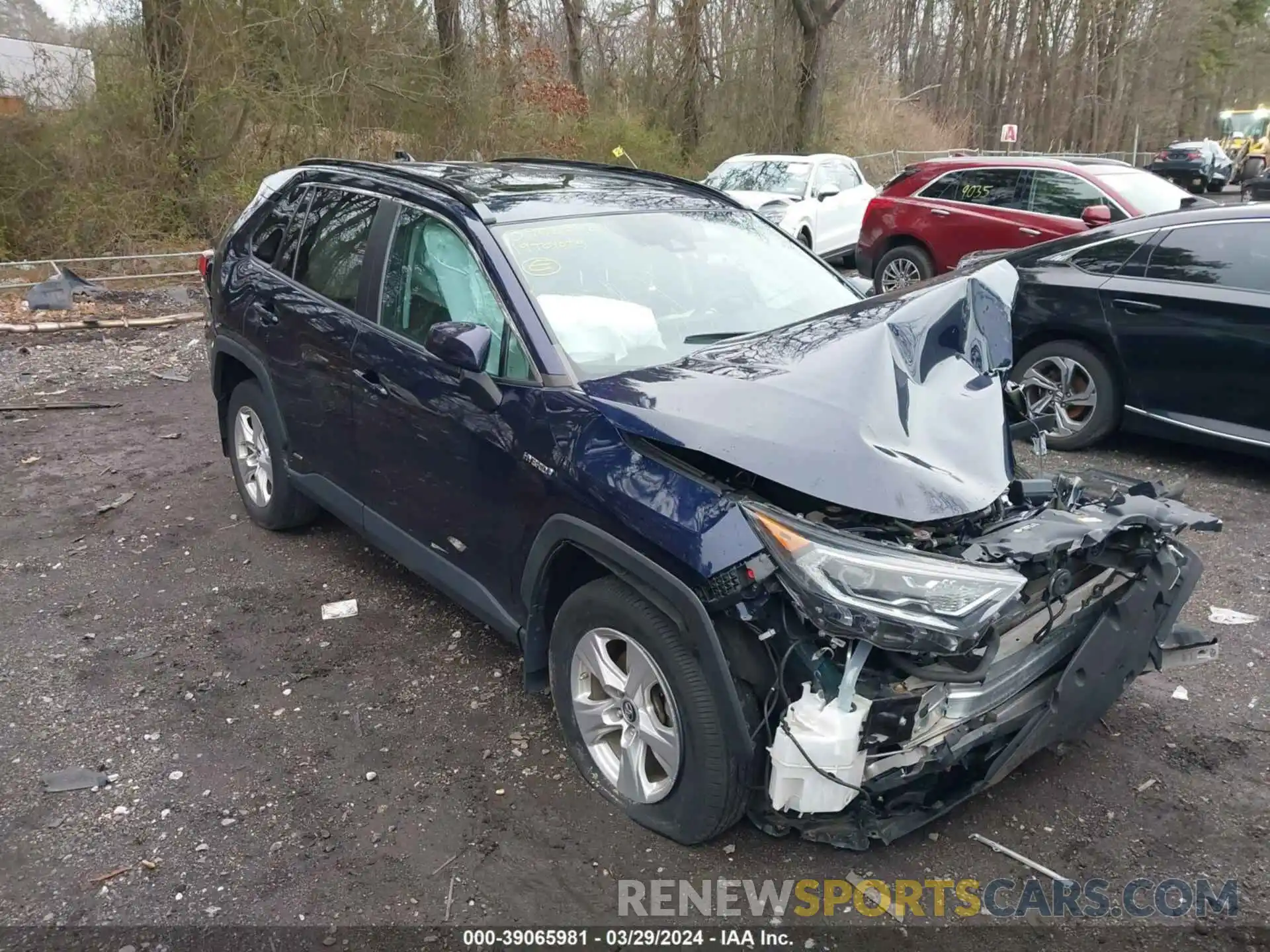 1 Photograph of a damaged car 2T3RWRFV5KW026458 TOYOTA RAV4 2019