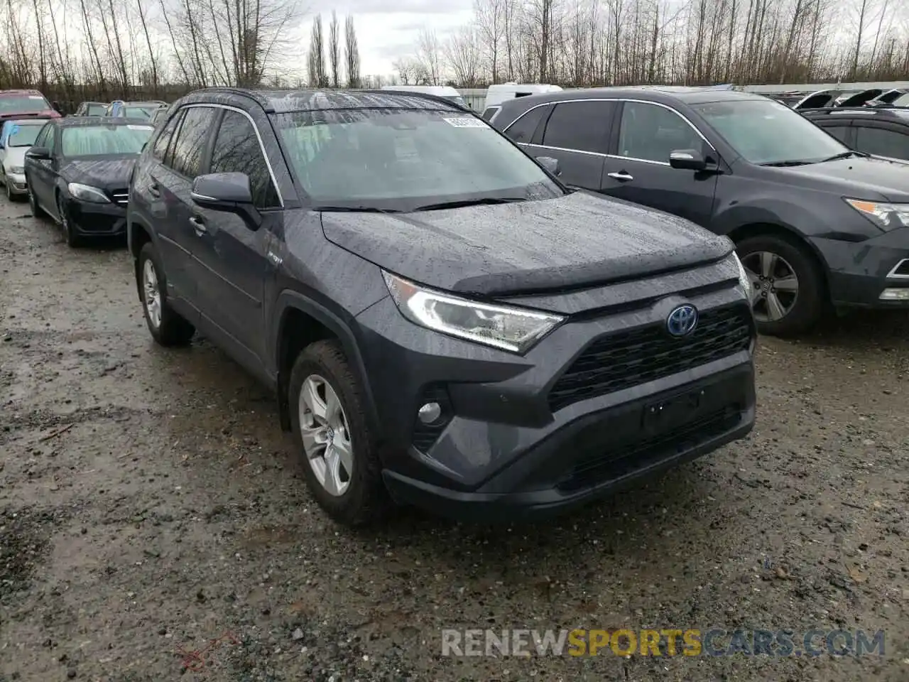 1 Photograph of a damaged car 2T3RWRFV6KW020989 TOYOTA RAV4 2019