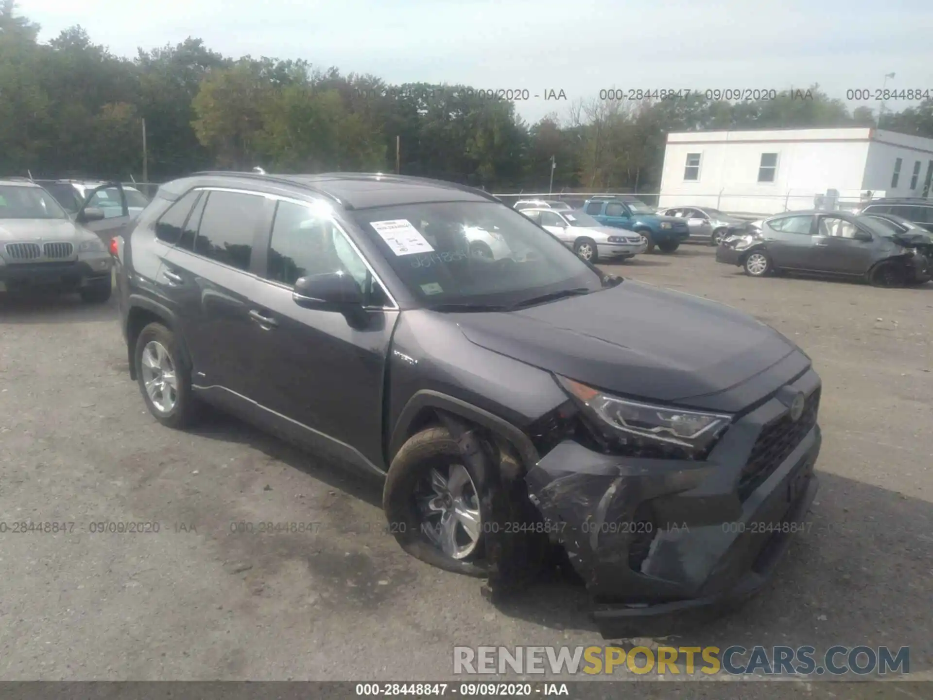 1 Photograph of a damaged car 2T3RWRFV7KW046257 TOYOTA RAV4 2019