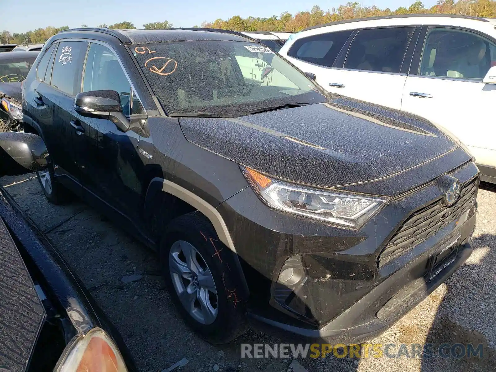 1 Photograph of a damaged car 2T3RWRFV8KW029225 TOYOTA RAV4 2019