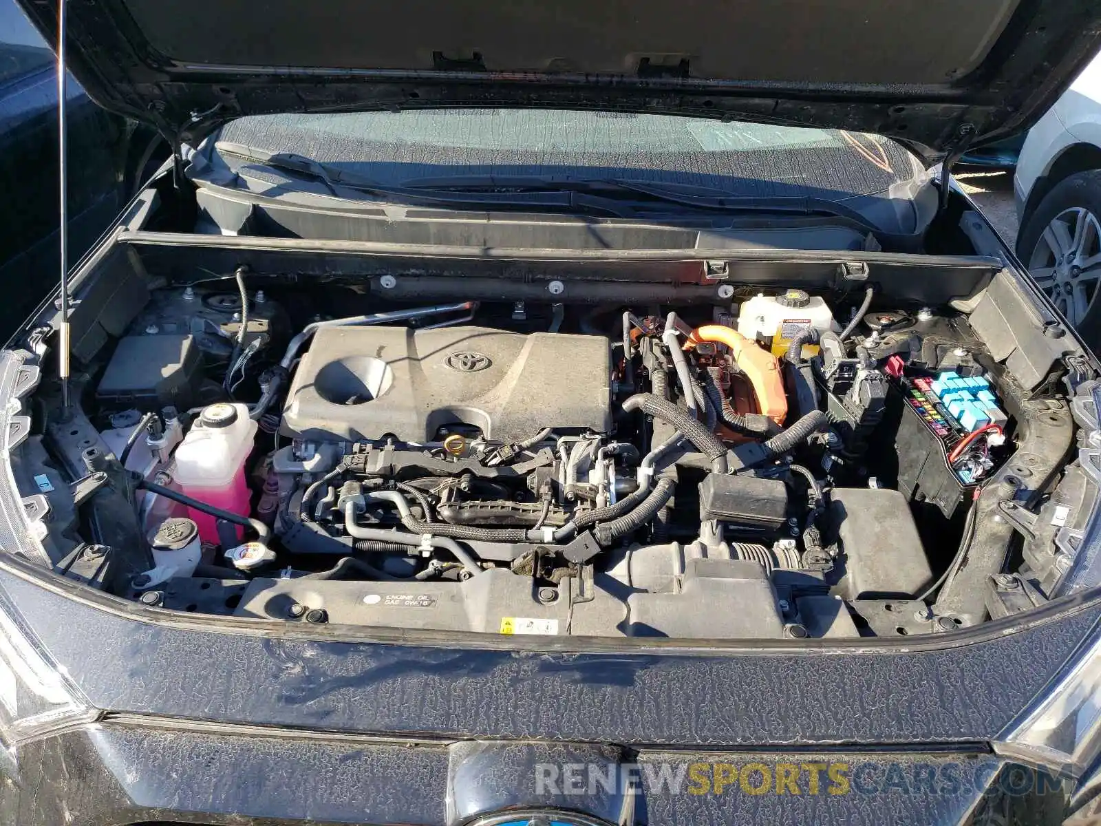 7 Photograph of a damaged car 2T3RWRFV8KW029225 TOYOTA RAV4 2019