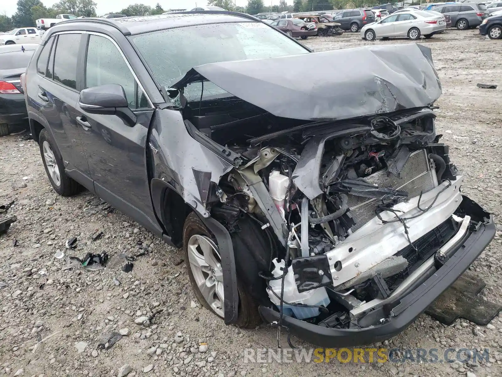 1 Photograph of a damaged car 2T3RWRFV9KW021408 TOYOTA RAV4 2019