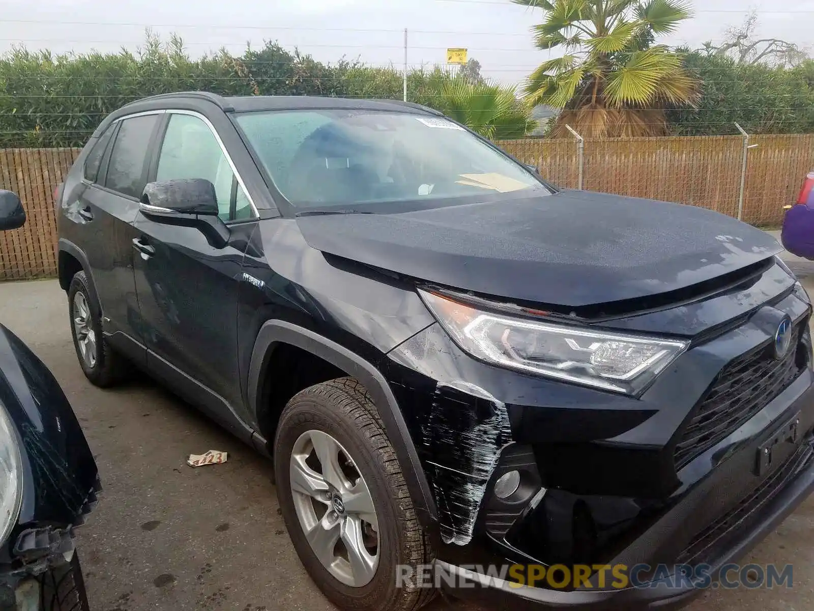 1 Photograph of a damaged car 2T3RWRFVXKW043207 TOYOTA RAV4 2019