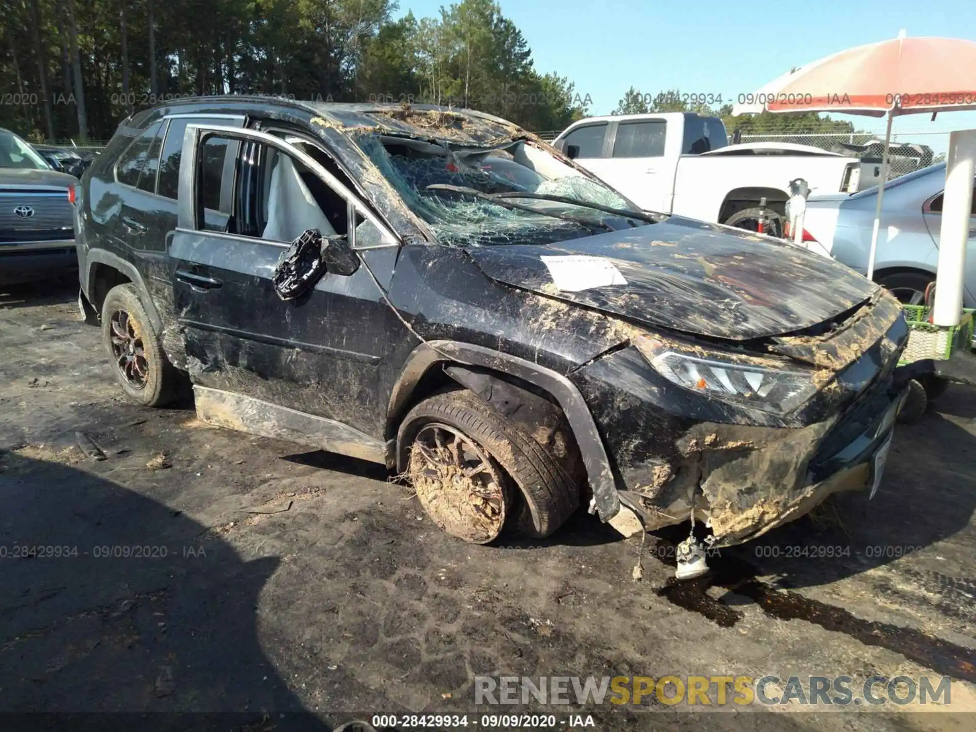 1 Photograph of a damaged car 2T3W1RFV2KC002685 TOYOTA RAV4 2019