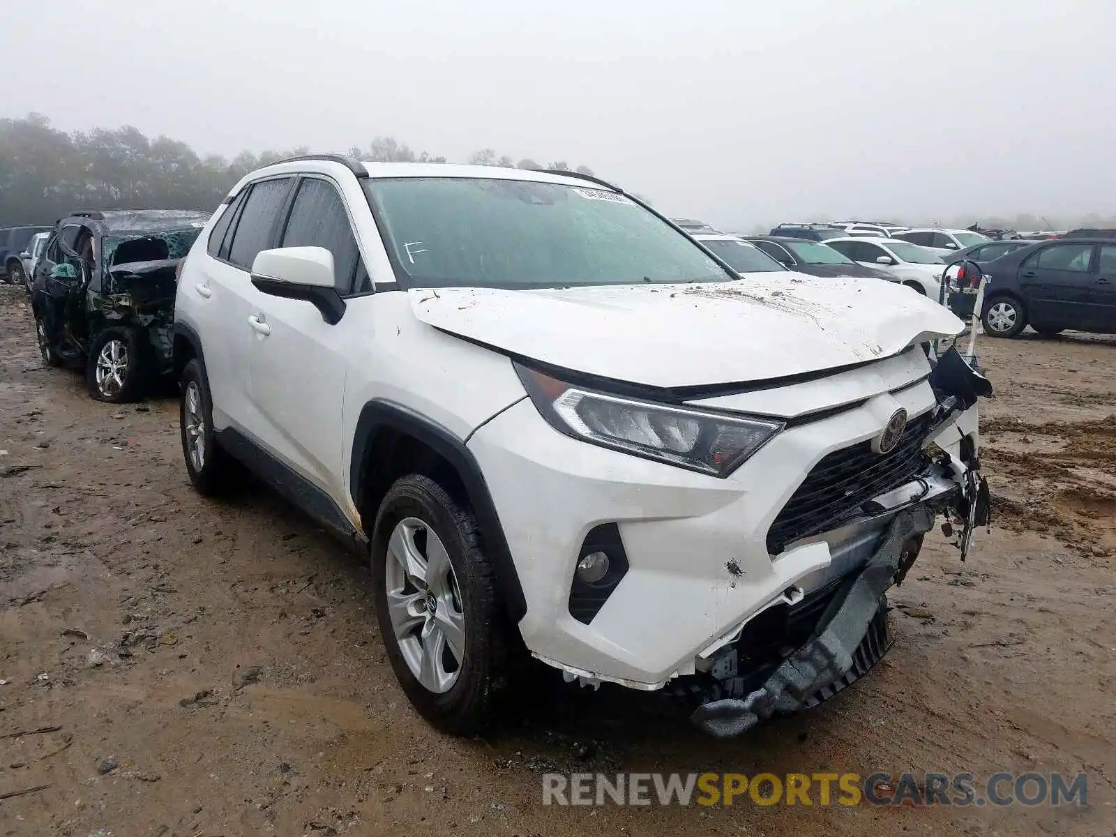 1 Фотография поврежденного автомобиля 2T3W1RFV2KW051030 TOYOTA RAV4 2019