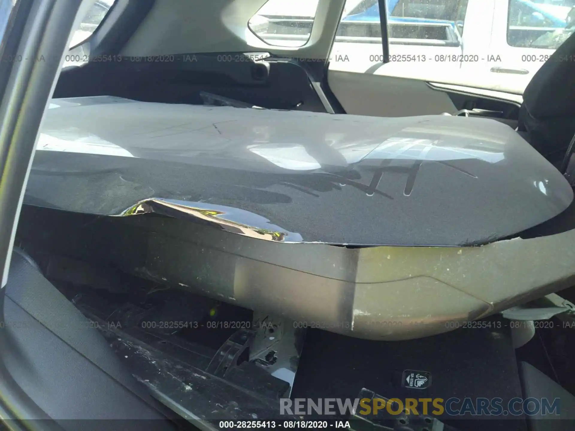 12 Photograph of a damaged car 2T3W1RFV3KW020031 TOYOTA RAV4 2019