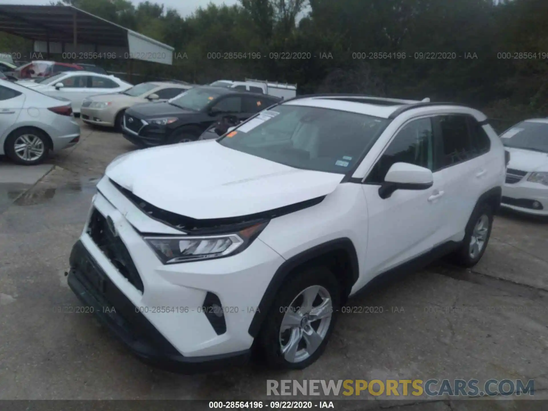 2 Фотография поврежденного автомобиля 2T3W1RFV5KW015963 TOYOTA RAV4 2019