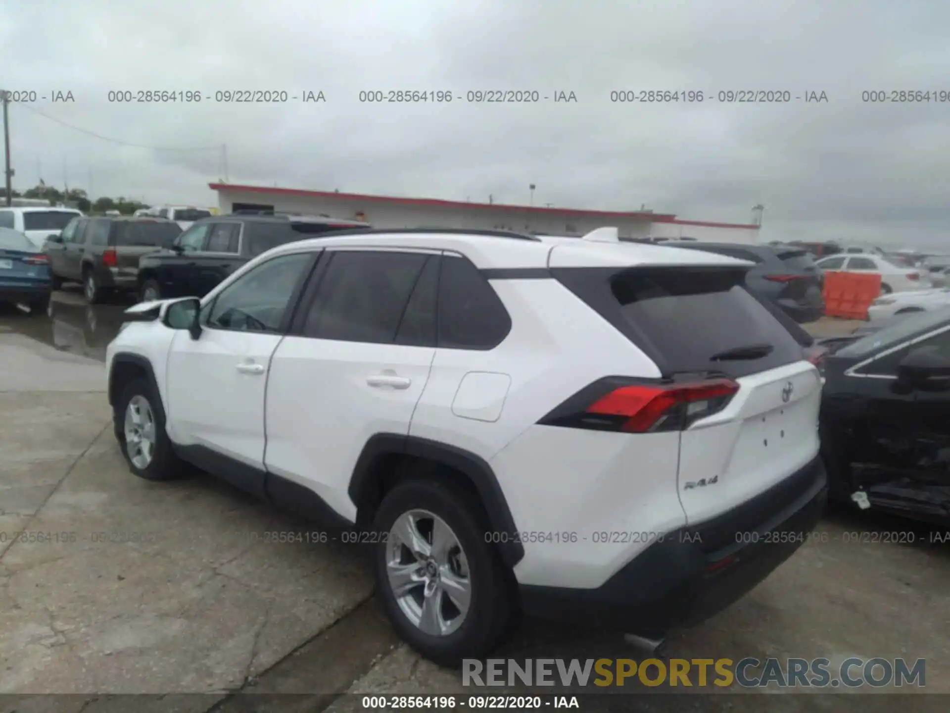 3 Фотография поврежденного автомобиля 2T3W1RFV5KW015963 TOYOTA RAV4 2019