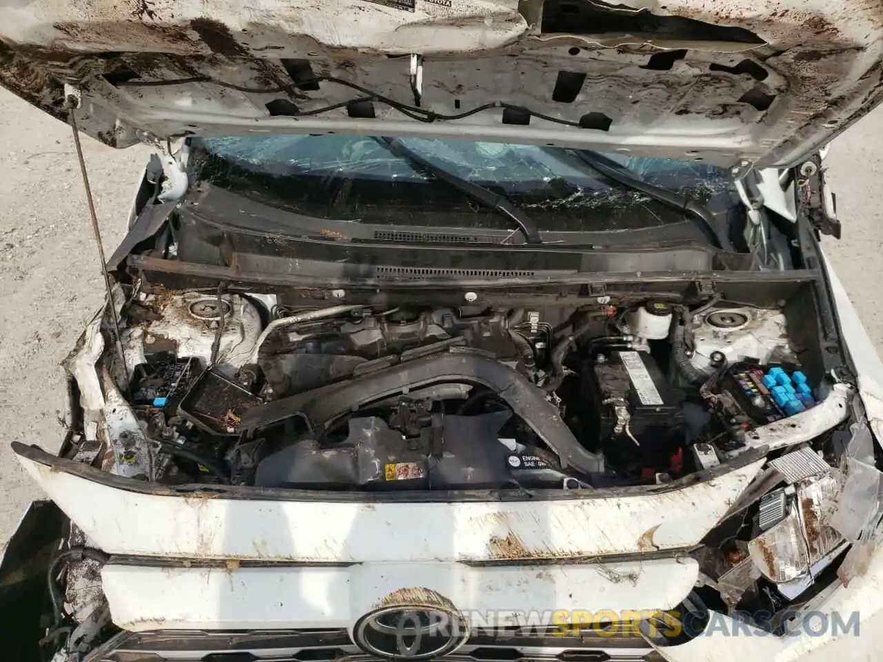 7 Photograph of a damaged car 2T3Y1RFV7KW001572 TOYOTA RAV4 2019