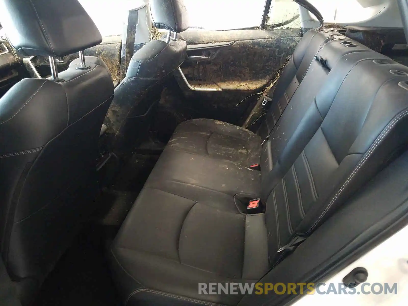 6 Photograph of a damaged car 2T3Y1RFV7KW035480 TOYOTA RAV4 2019