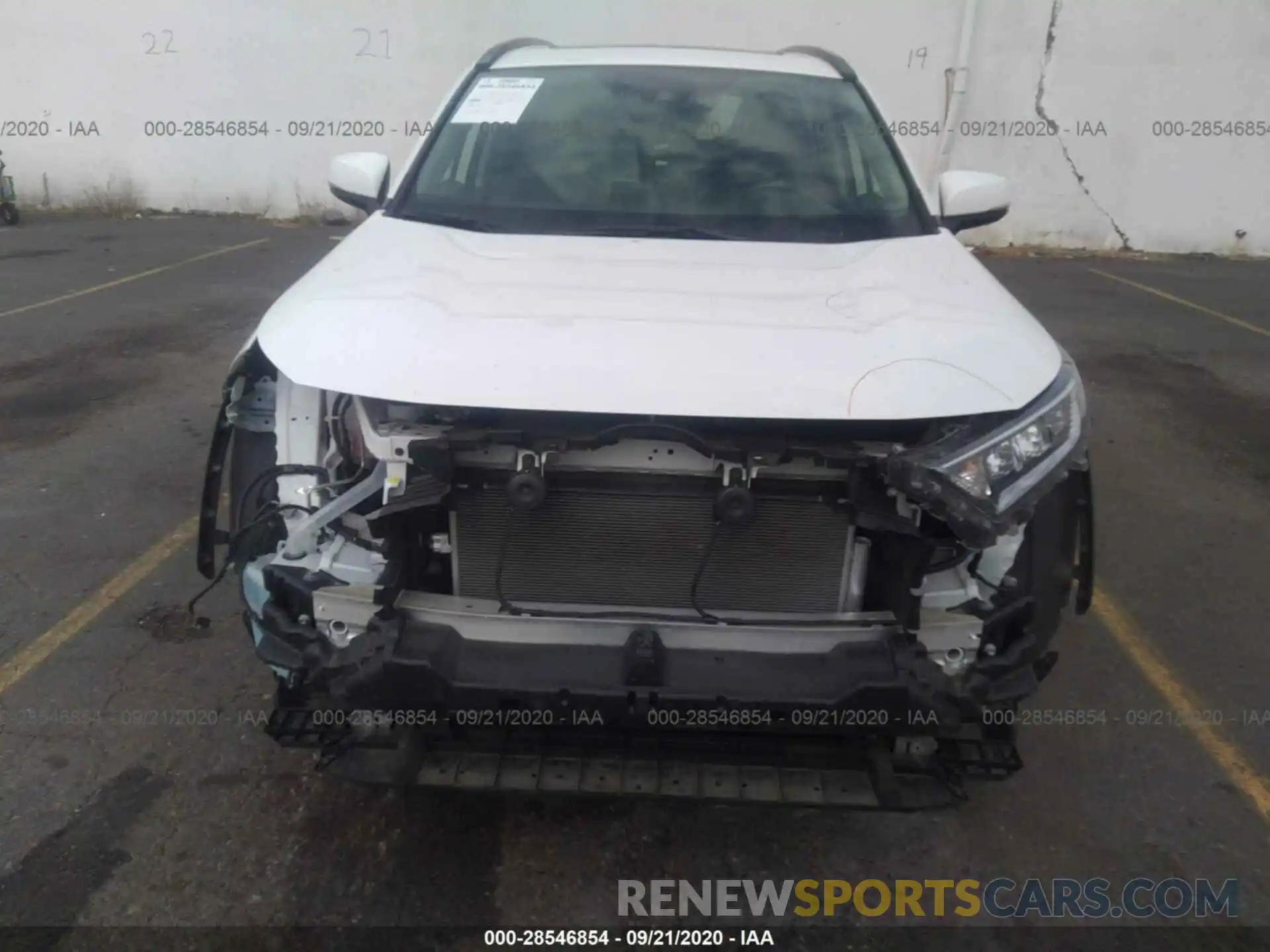 6 Photograph of a damaged car JTMA1RFV4KD031580 TOYOTA RAV4 2019