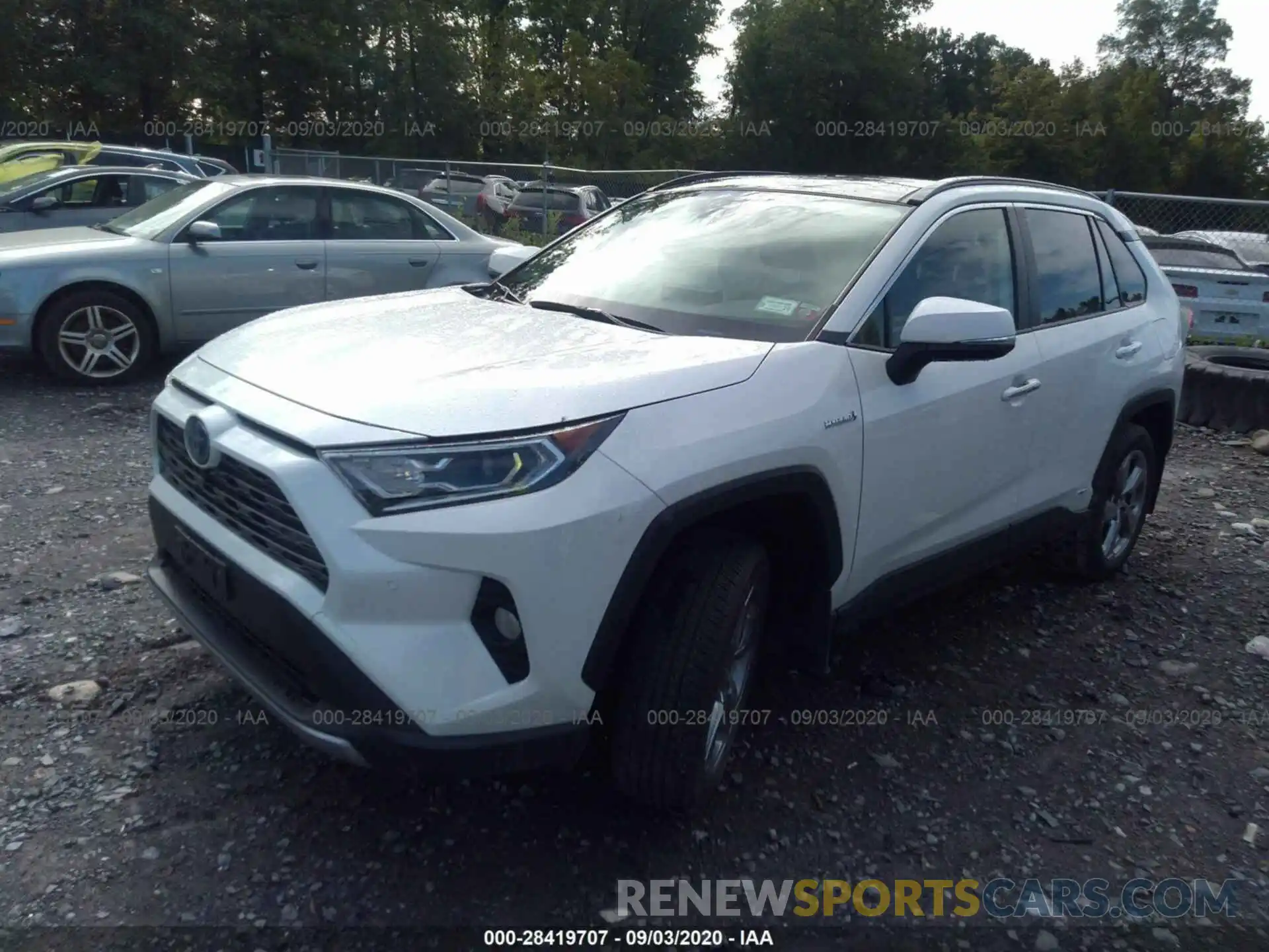 2 Photograph of a damaged car JTMDWRFV4KD512184 TOYOTA RAV4 2019