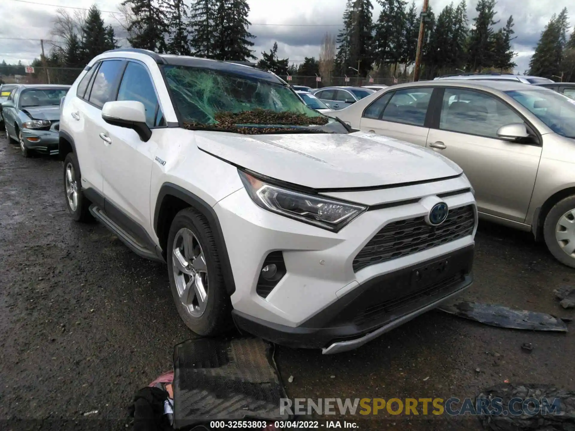 1 Photograph of a damaged car JTMDWRFV7KD507884 TOYOTA RAV4 2019