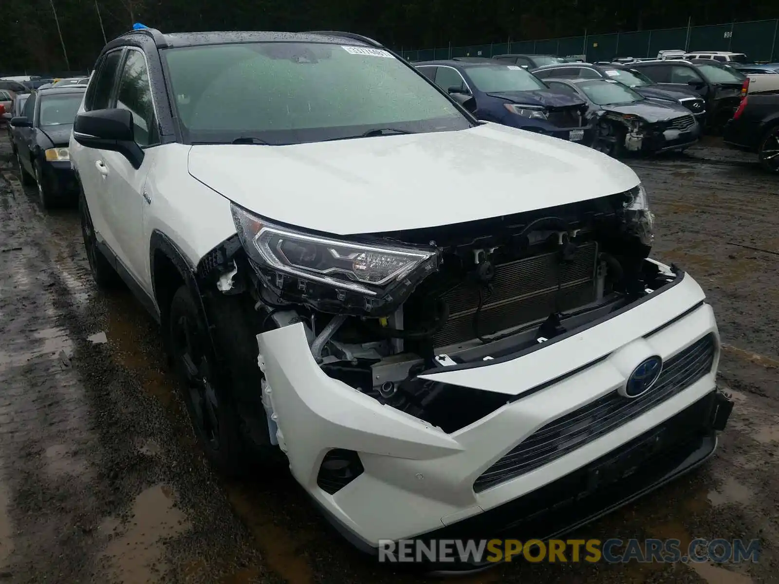 1 Photograph of a damaged car JTMEWRFV5KJ019023 TOYOTA RAV4 2019