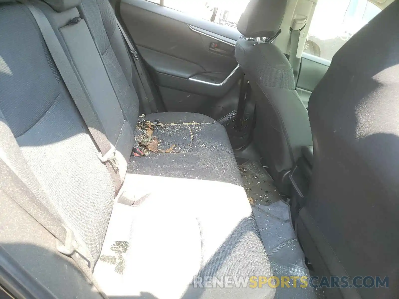 6 Photograph of a damaged car JTMF1RFV0KD500251 TOYOTA RAV4 2019