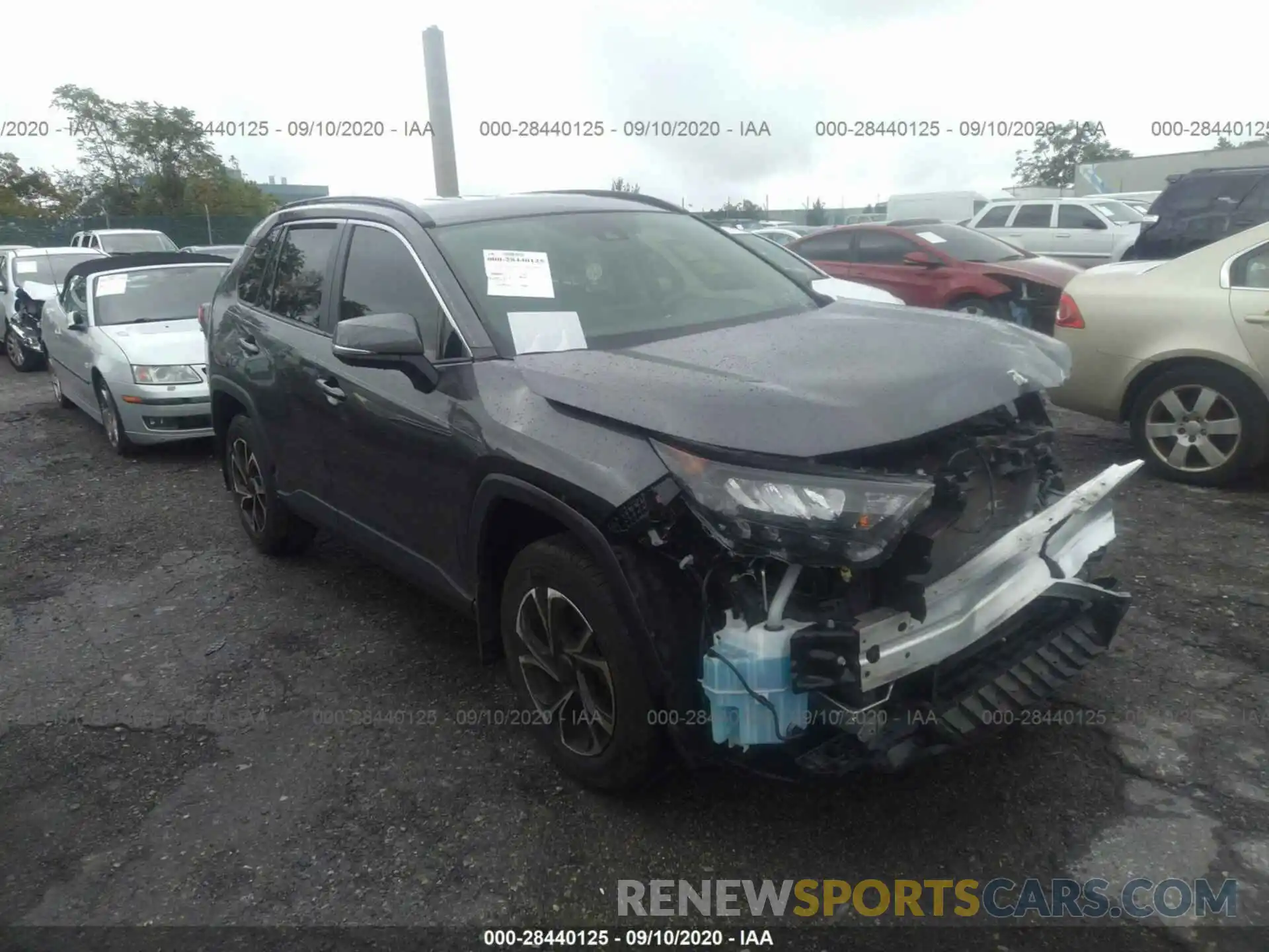 1 Photograph of a damaged car JTMG1RFV3KJ006844 TOYOTA RAV4 2019