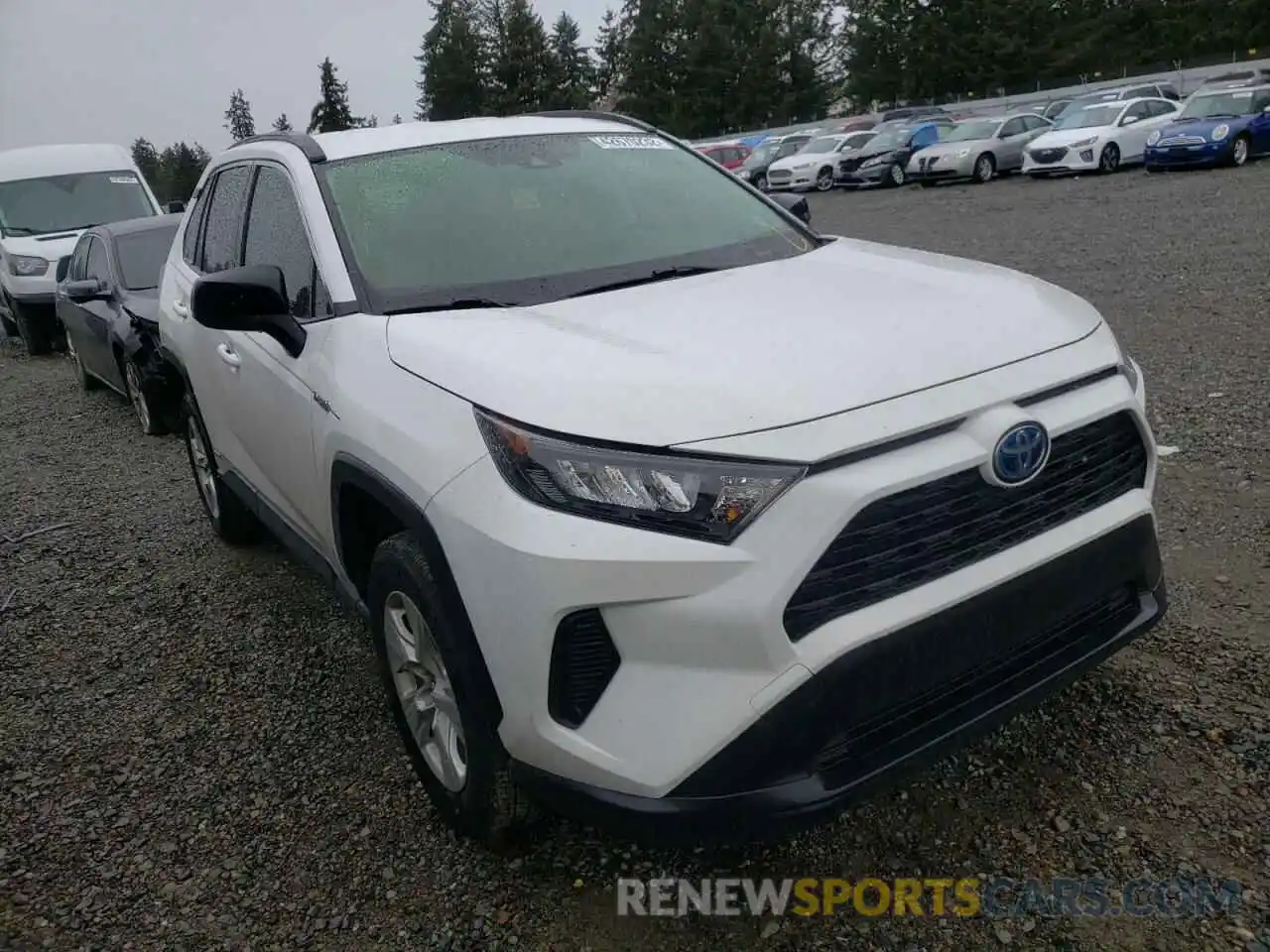 1 Photograph of a damaged car JTMLWRFV3KD013999 TOYOTA RAV4 2019