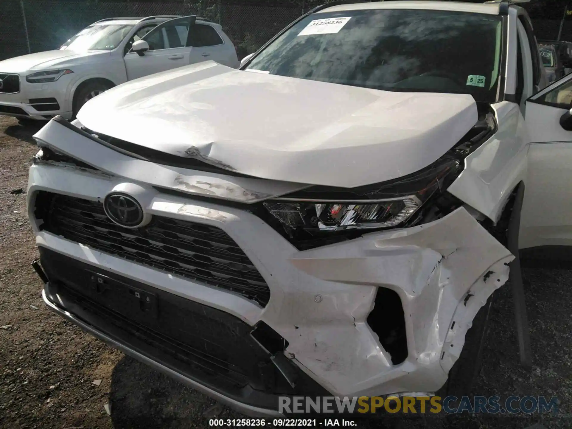 6 Photograph of a damaged car JTMN1RFV4KD044802 TOYOTA RAV4 2019