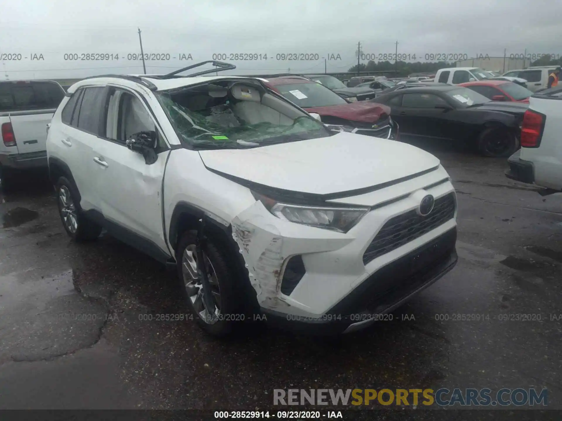 1 Photograph of a damaged car JTMN1RFV8KD508822 TOYOTA RAV4 2019