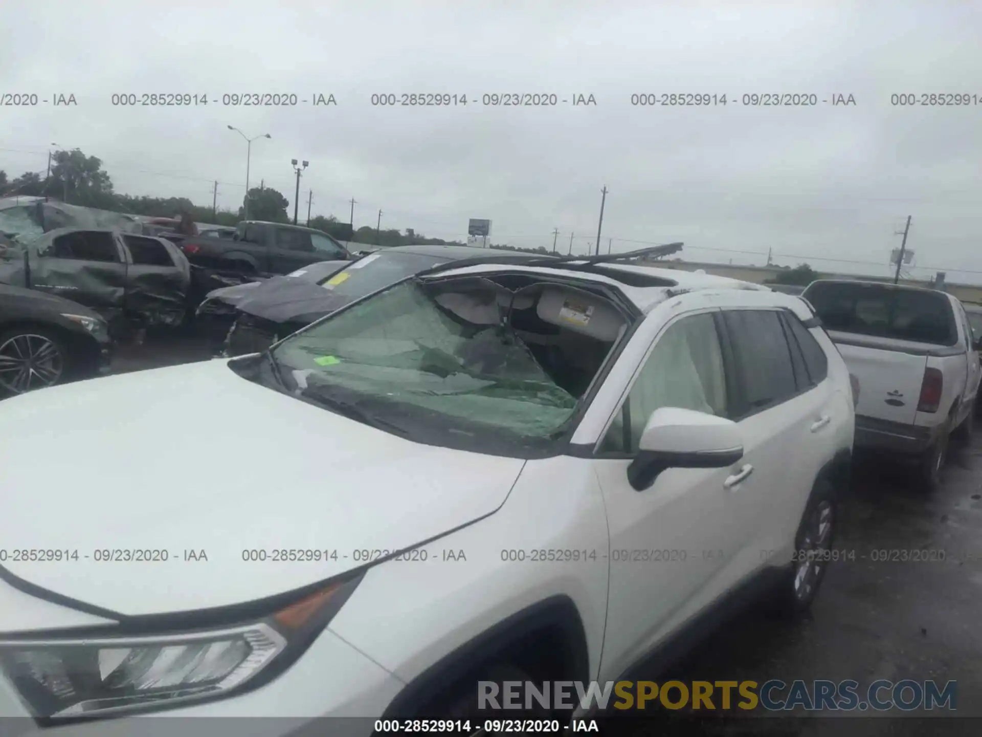 6 Photograph of a damaged car JTMN1RFV8KD508822 TOYOTA RAV4 2019