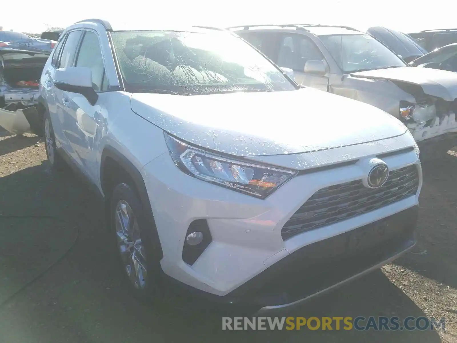 1 Photograph of a damaged car JTMN1RFV9KJ020528 TOYOTA RAV4 2019