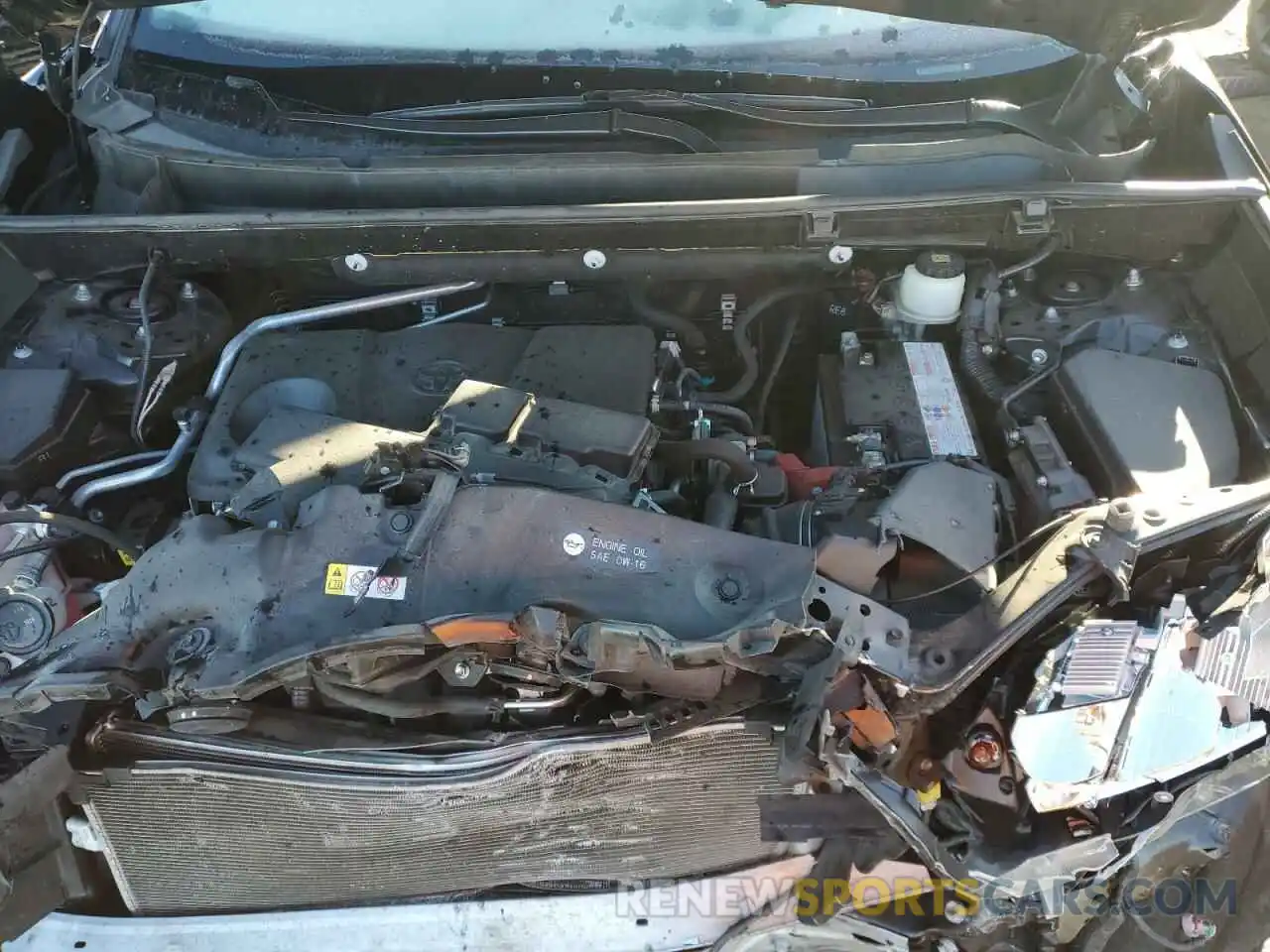 12 Photograph of a damaged car JTMP1RFV0KD007884 TOYOTA RAV4 2019