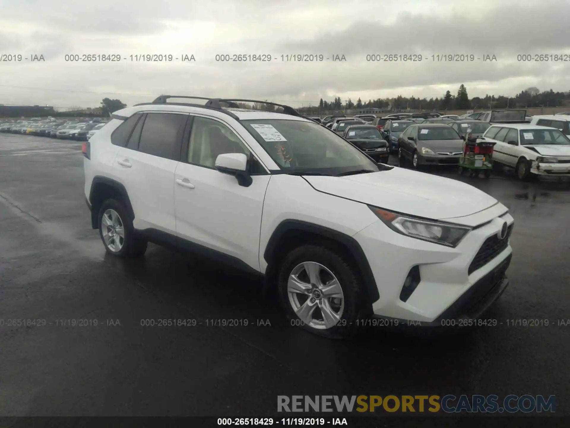 1 Photograph of a damaged car JTMP1RFV0KD031022 TOYOTA RAV4 2019