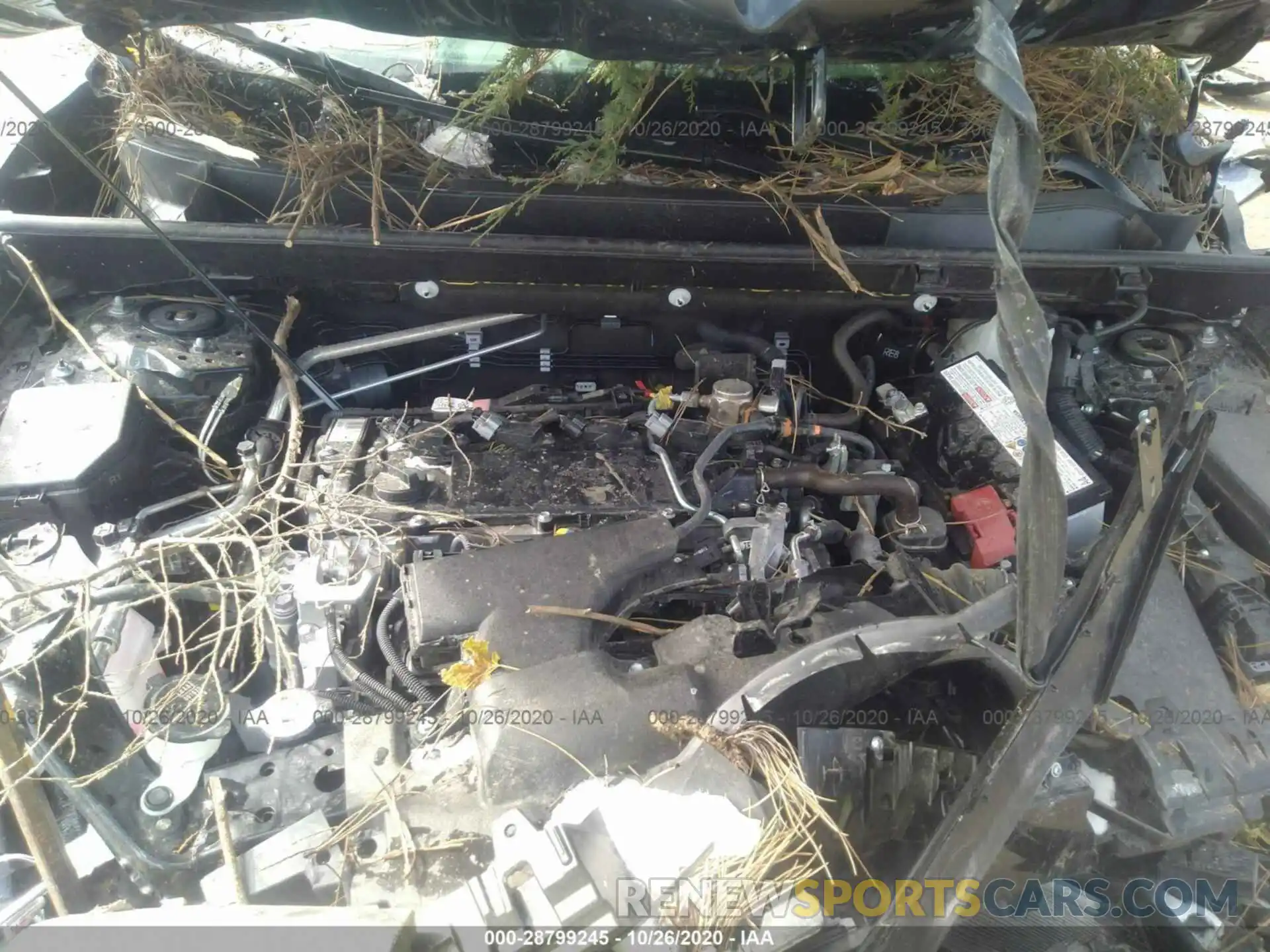 10 Photograph of a damaged car JTMP1RFV0KJ025318 TOYOTA RAV4 2019