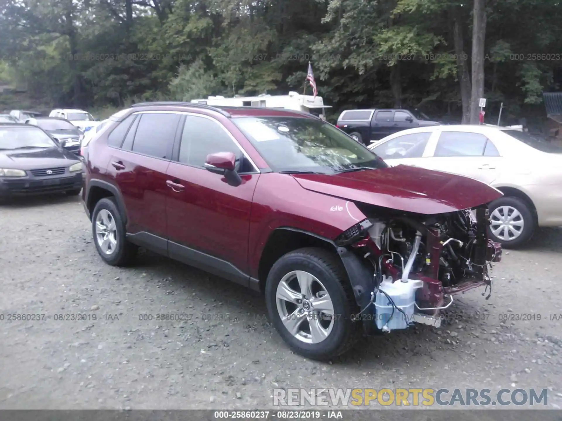 1 Photograph of a damaged car JTMP1RFV1KD031529 TOYOTA RAV4 2019