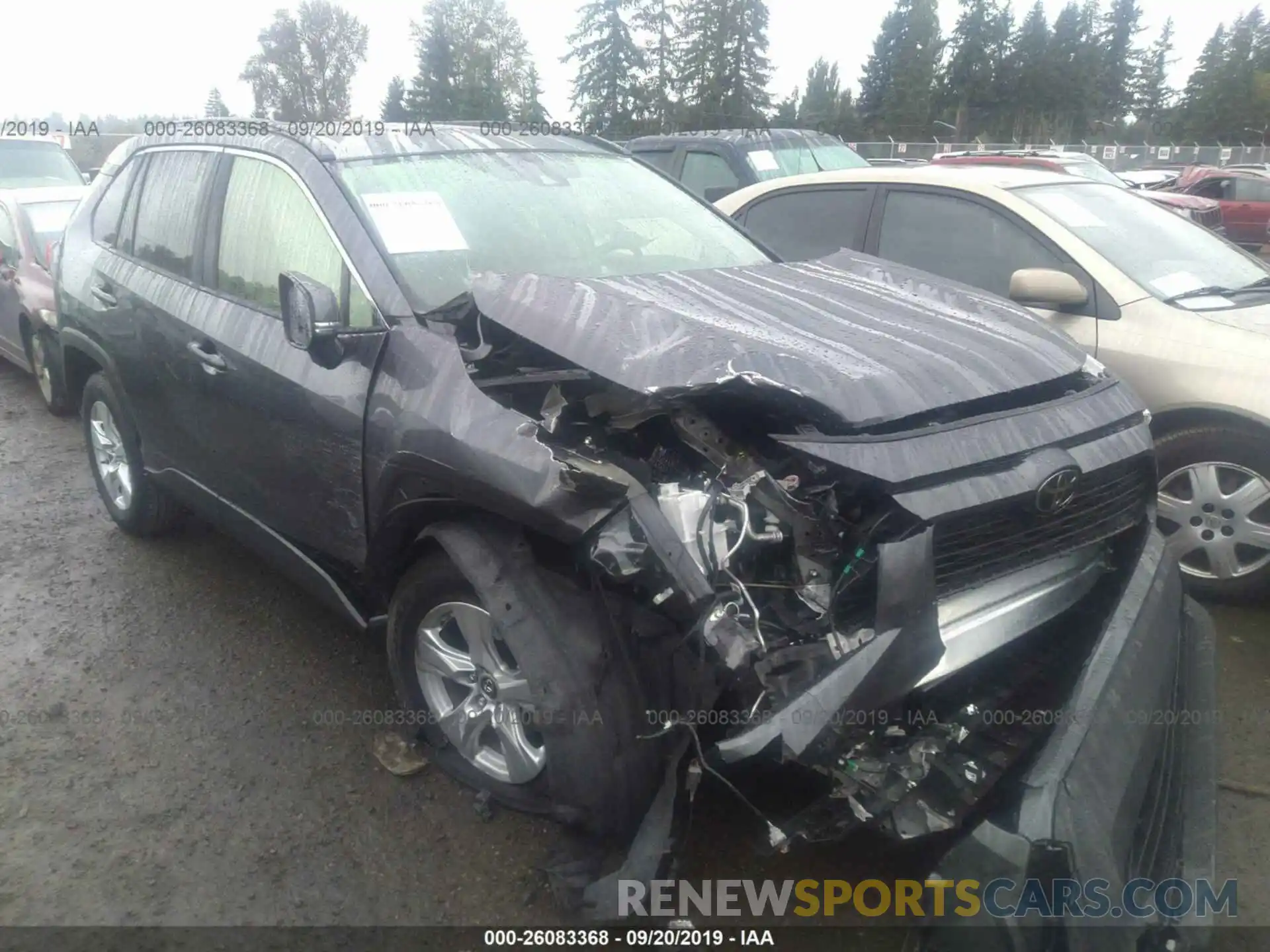 1 Photograph of a damaged car JTMP1RFV2KD508890 TOYOTA RAV4 2019