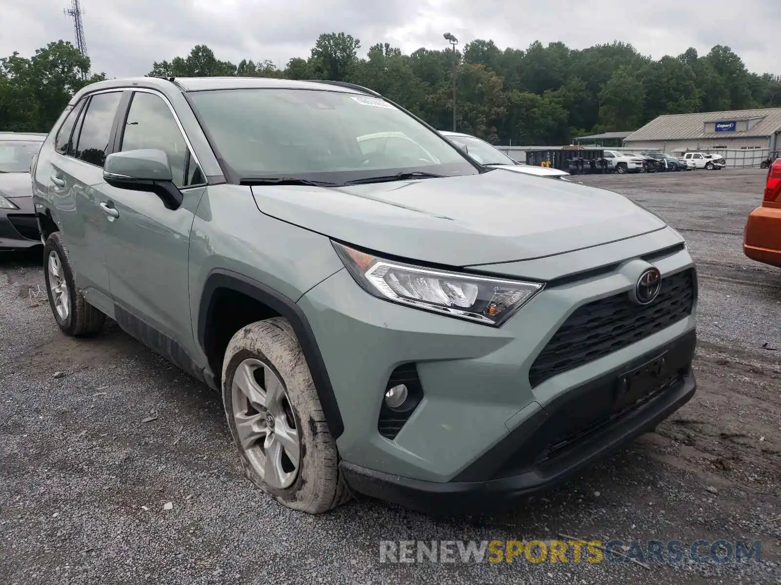 1 Photograph of a damaged car JTMP1RFV2KJ004857 TOYOTA RAV4 2019