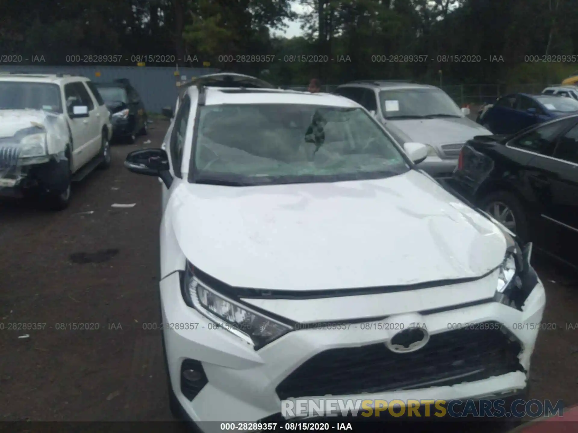 6 Photograph of a damaged car JTMP1RFV3KD503195 TOYOTA RAV4 2019