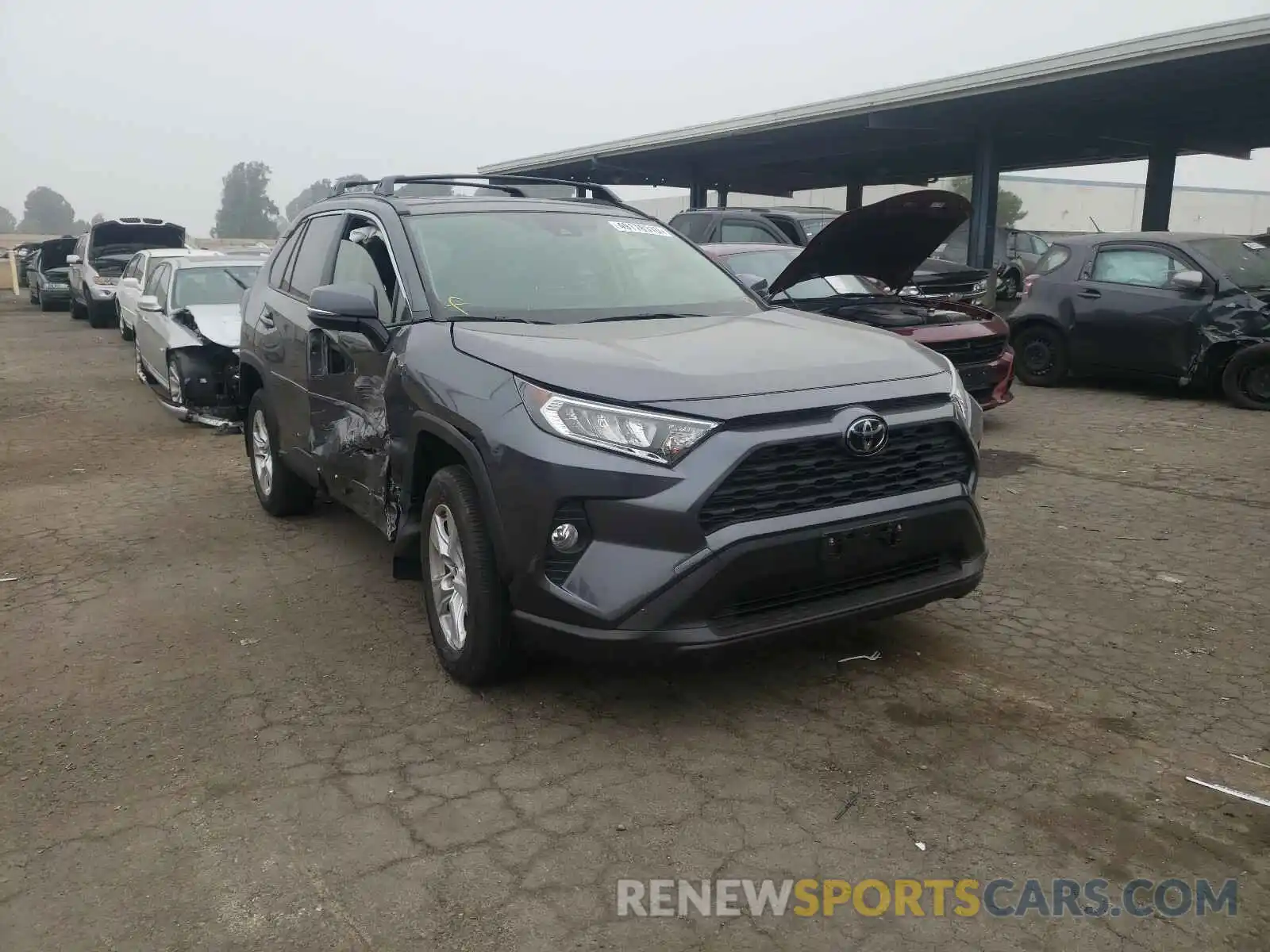 1 Photograph of a damaged car JTMP1RFV3KD504427 TOYOTA RAV4 2019