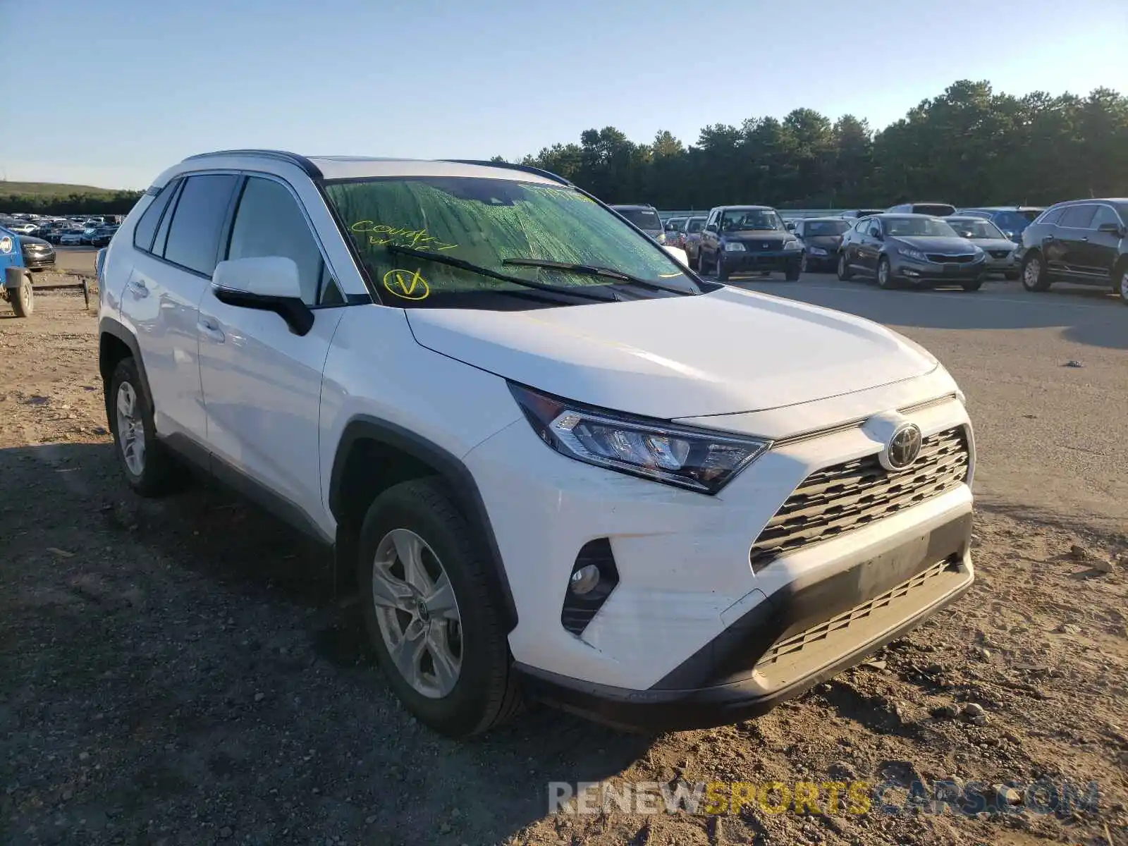 1 Фотография поврежденного автомобиля JTMP1RFV3KD523446 TOYOTA RAV4 2019