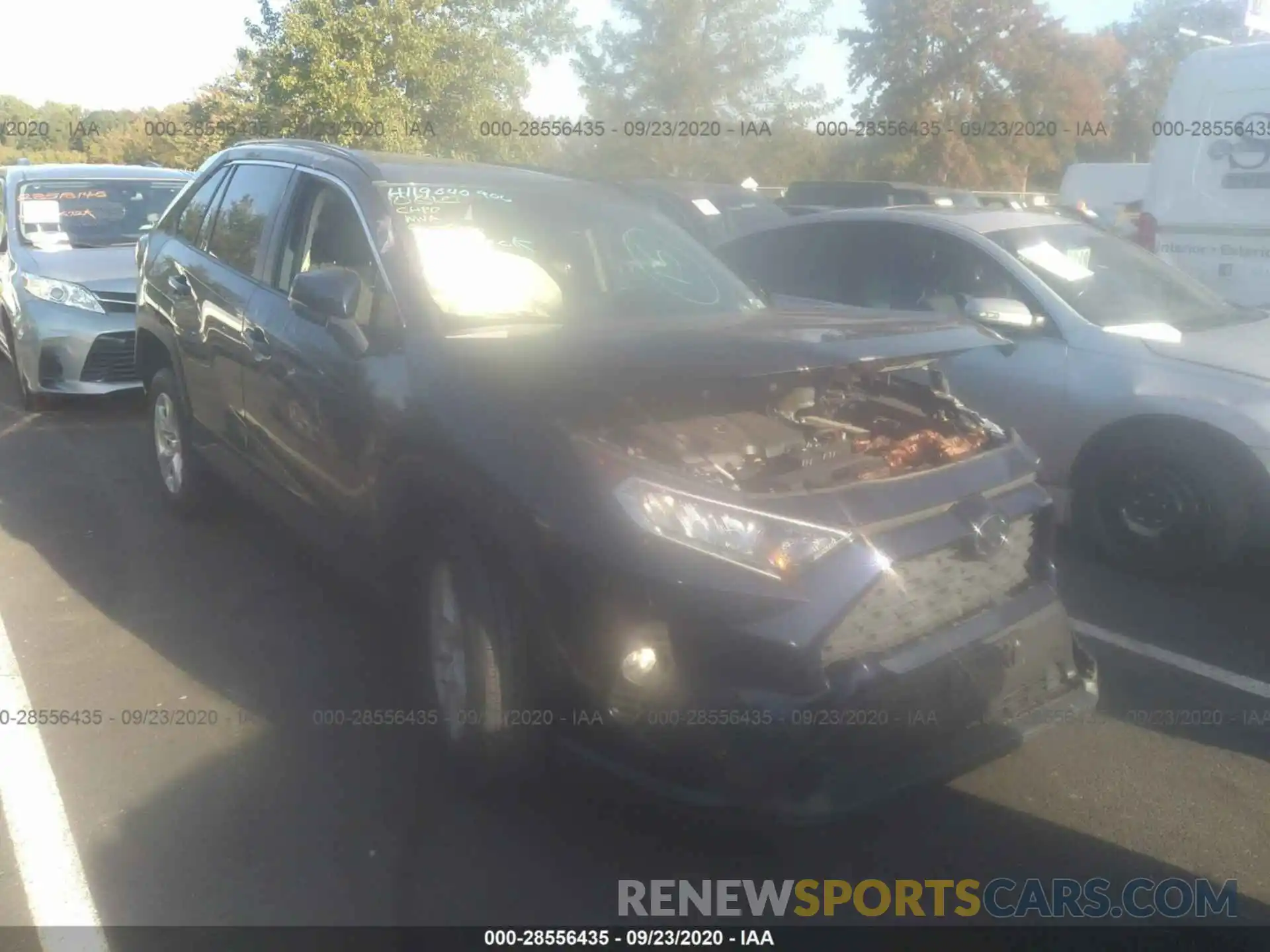 1 Photograph of a damaged car JTMP1RFV4KD031945 TOYOTA RAV4 2019