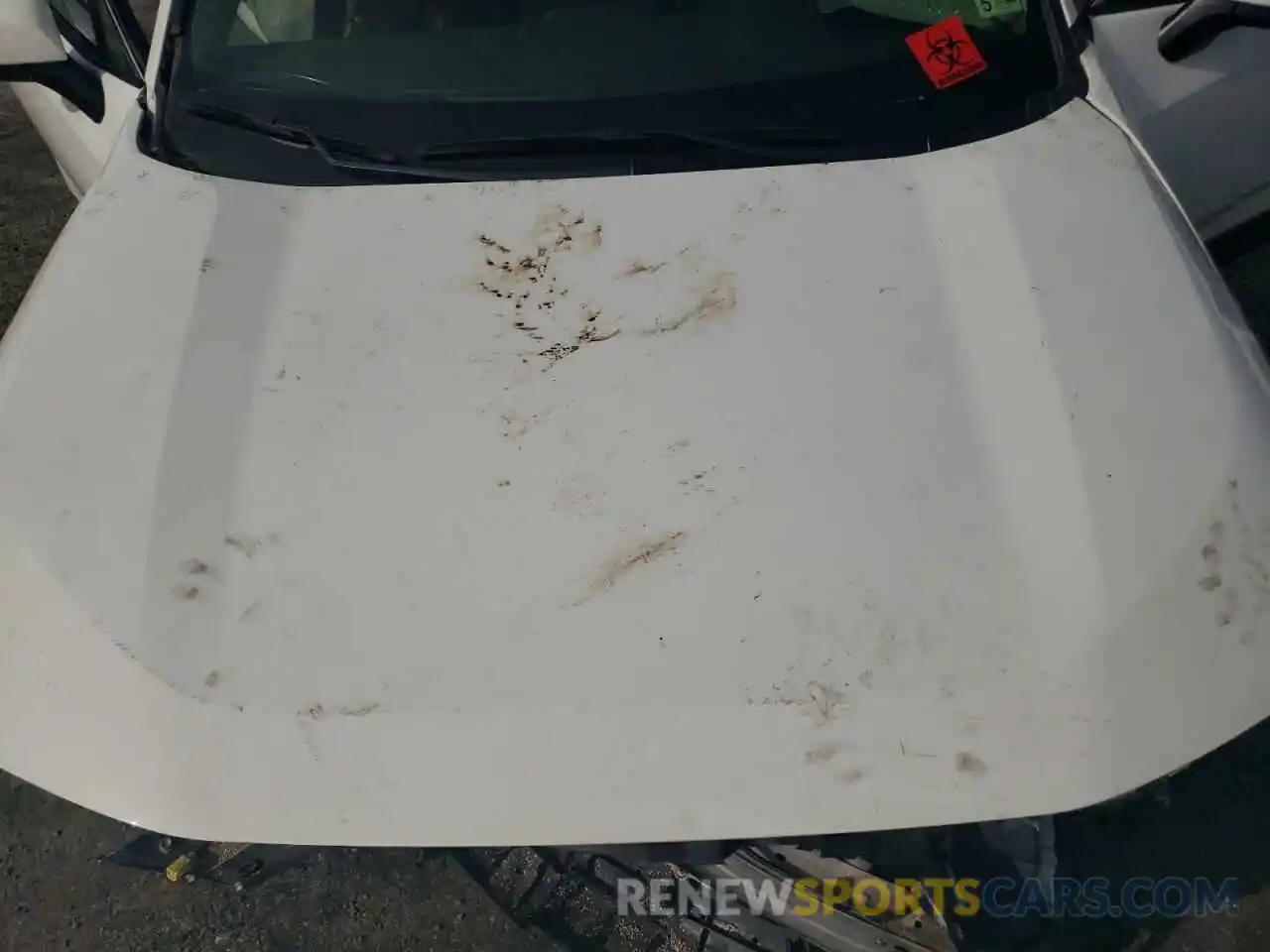 7 Photograph of a damaged car JTMP1RFV5KD008562 TOYOTA RAV4 2019