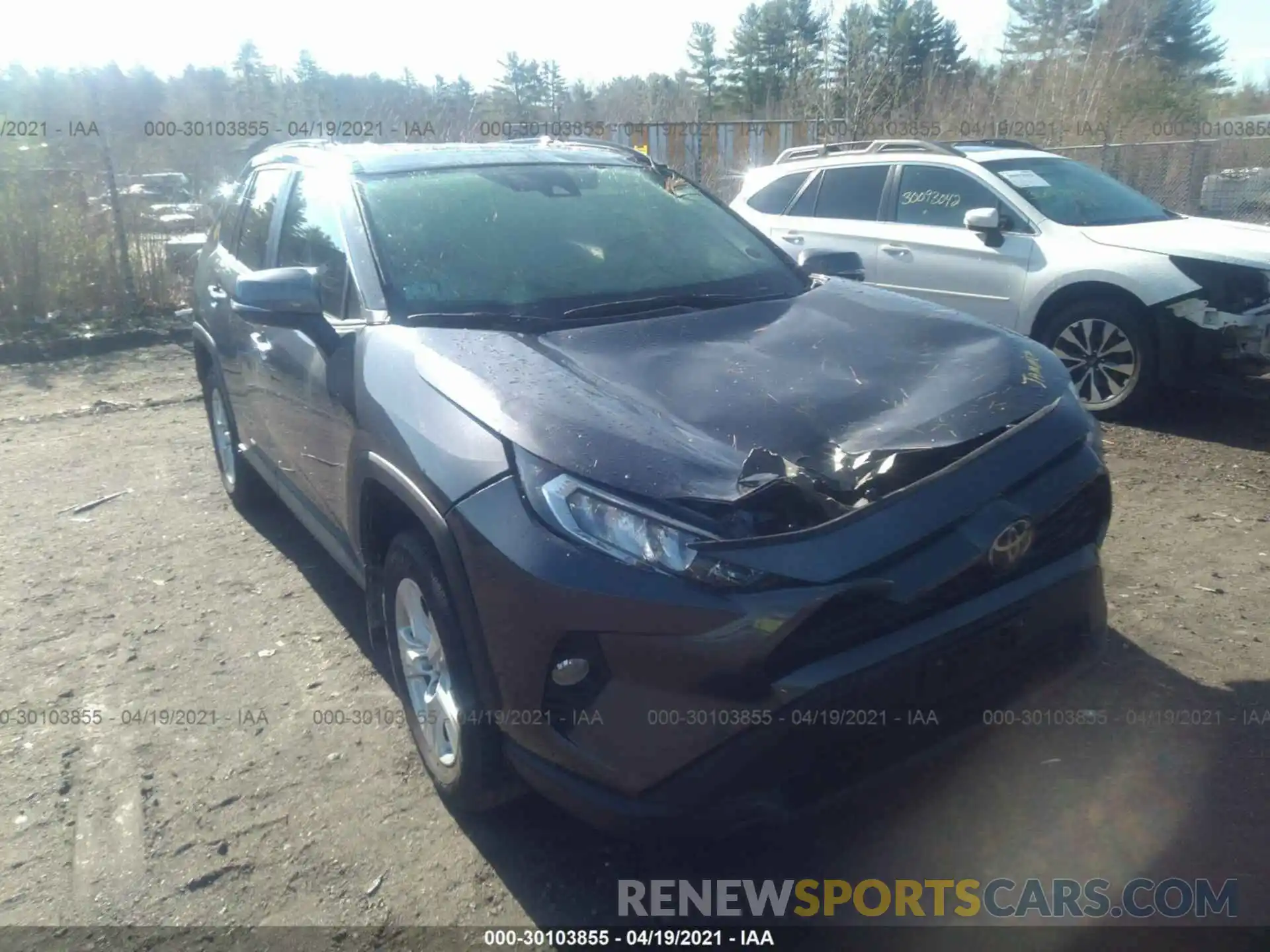 1 Photograph of a damaged car JTMP1RFV6KD022020 TOYOTA RAV4 2019