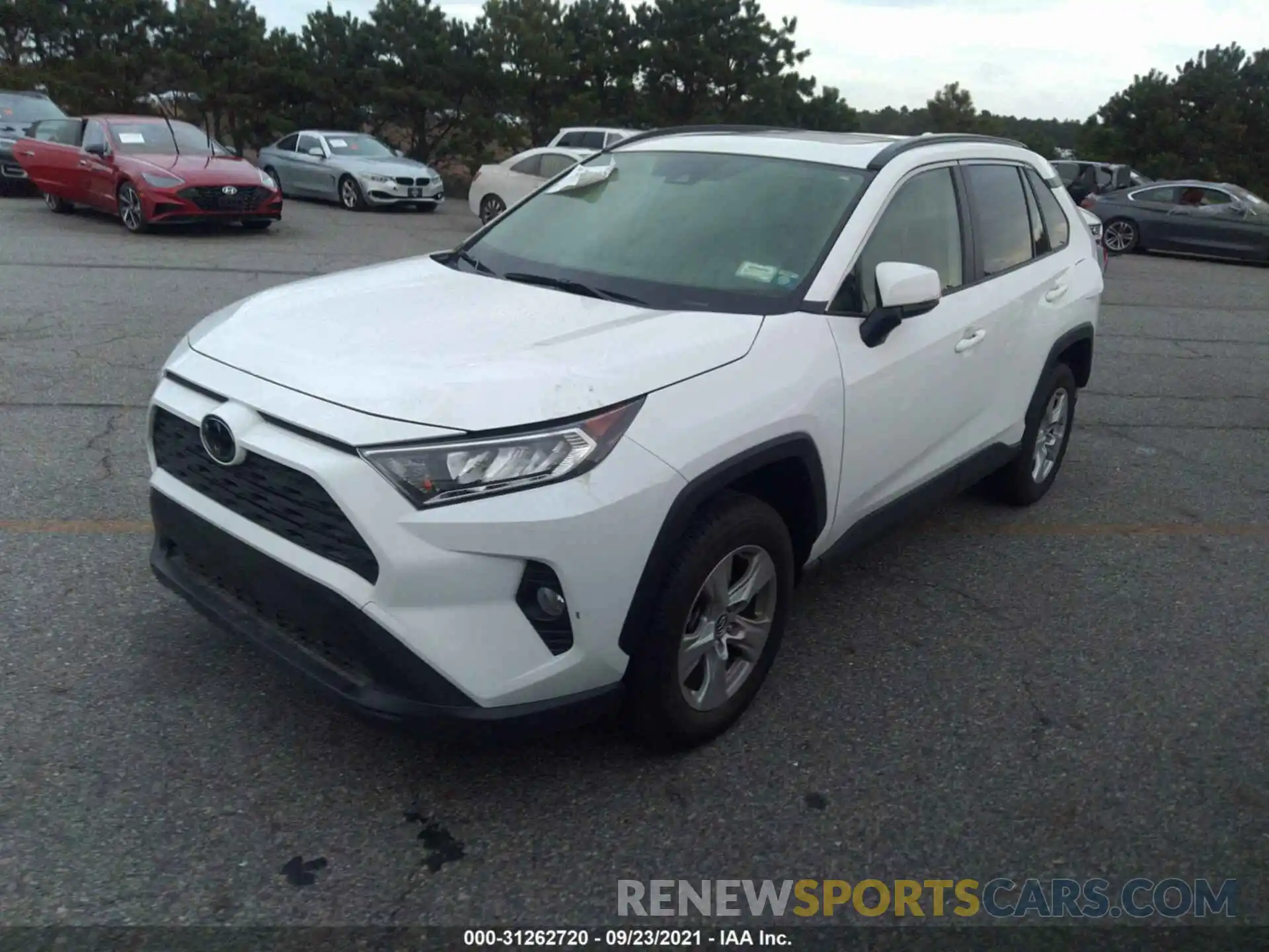 2 Photograph of a damaged car JTMP1RFV6KD036354 TOYOTA RAV4 2019