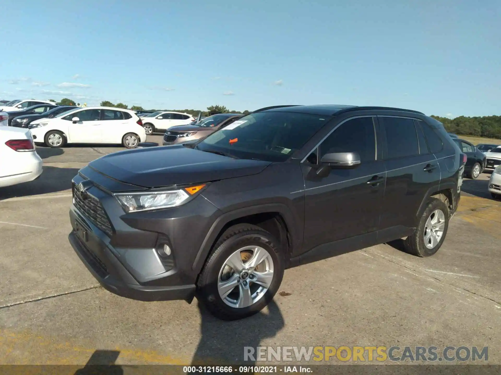 2 Фотография поврежденного автомобиля JTMP1RFV7KD516824 TOYOTA RAV4 2019