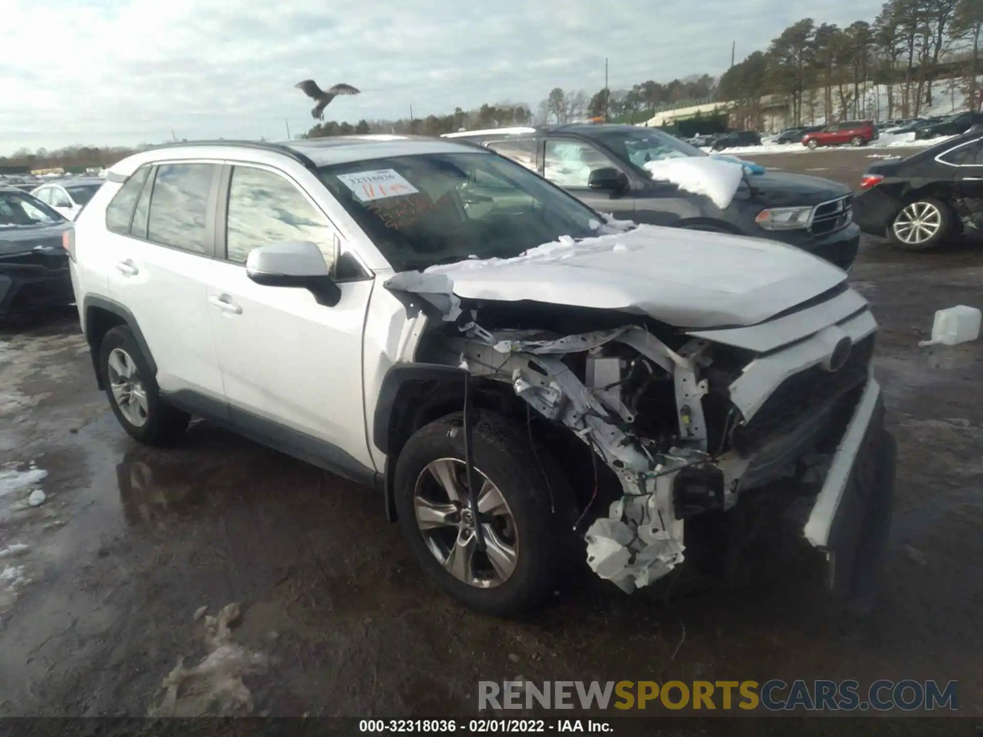 1 Photograph of a damaged car JTMP1RFV9KD031987 TOYOTA RAV4 2019