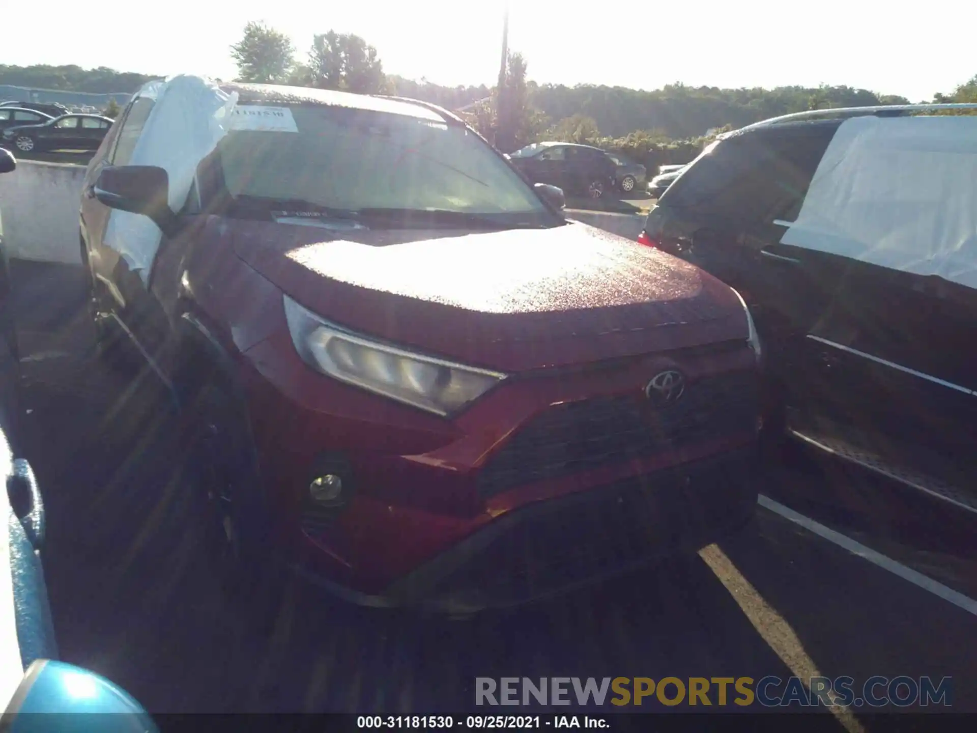 1 Photograph of a damaged car JTMP1RFV9KD033495 TOYOTA RAV4 2019