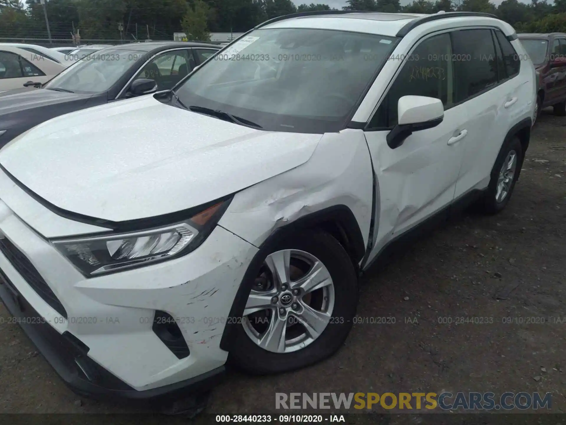 6 Photograph of a damaged car JTMP1RFV9KJ013040 TOYOTA RAV4 2019