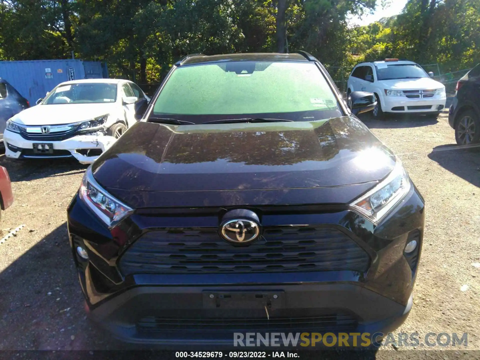 6 Photograph of a damaged car JTMP1RFVXKD016284 TOYOTA RAV4 2019