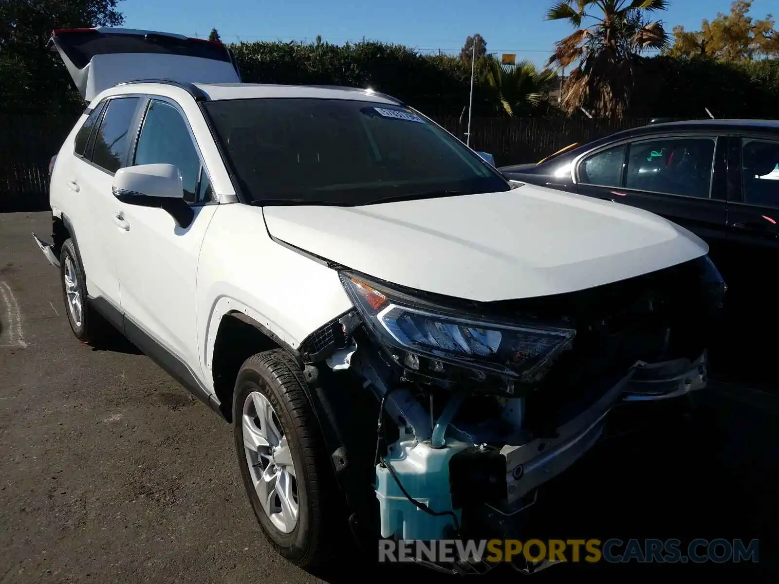 1 Photograph of a damaged car JTMP1RFVXKD025468 TOYOTA RAV4 2019