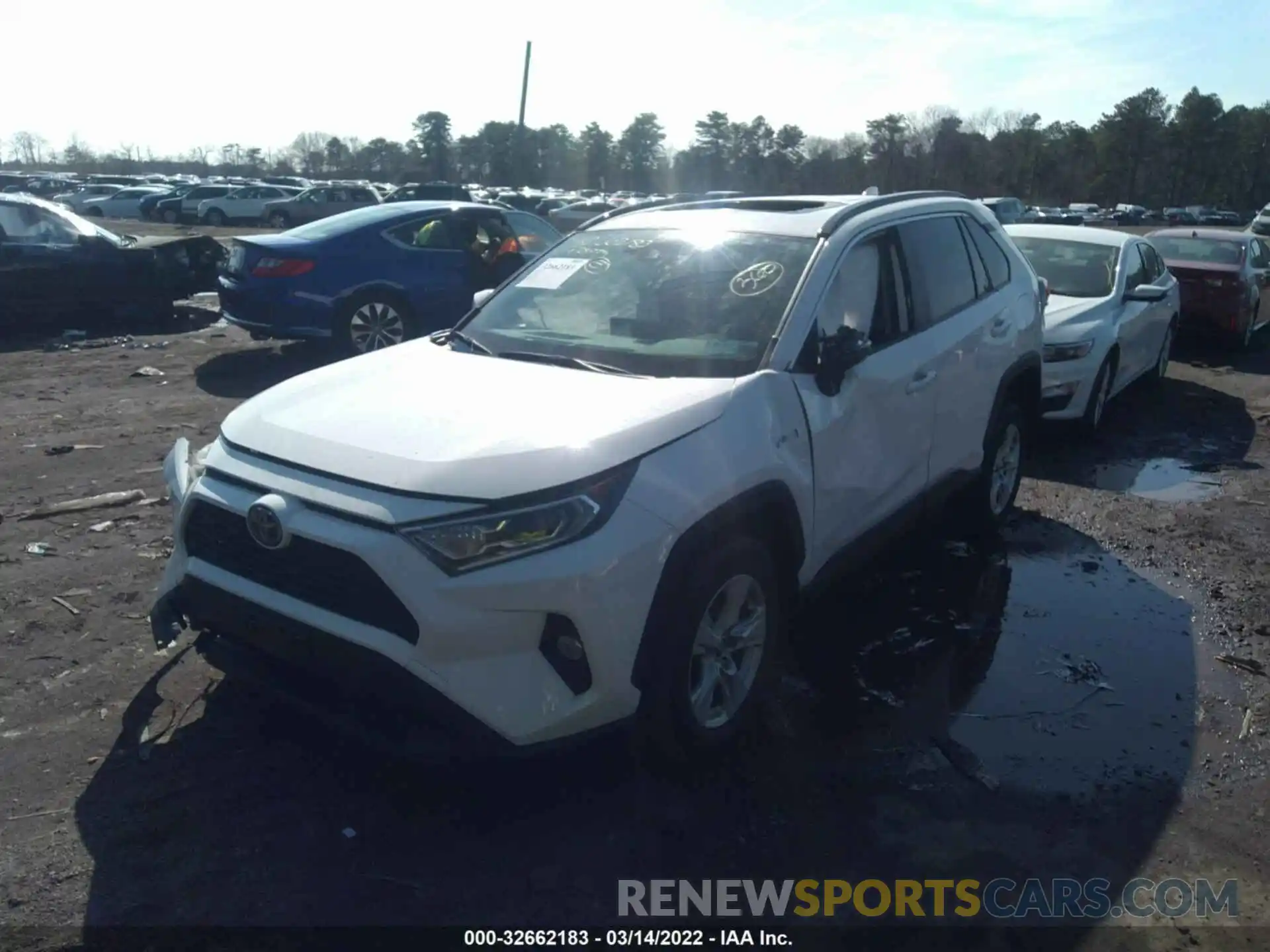 2 Фотография поврежденного автомобиля JTMRWRFV5KD013917 TOYOTA RAV4 2019